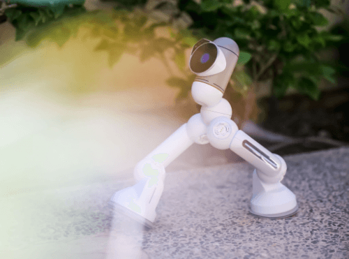 A Practical Method for Testing AI Companion Platforms