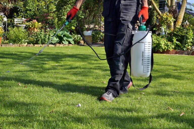 Choosing the Right Pest Management Solution for Your Flagstaff Property