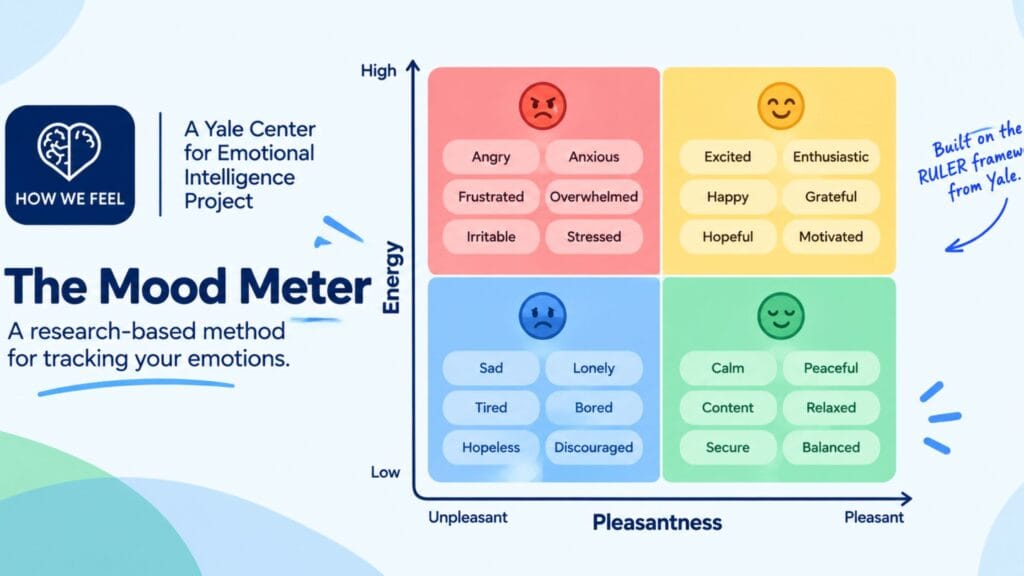 research based mood tracking method used by How We Feel